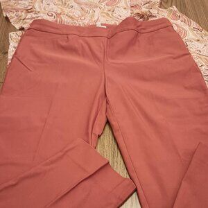 Chico's Size 16 (3) Brigitte Slim Leg Rust Ankle Pants (NWT)